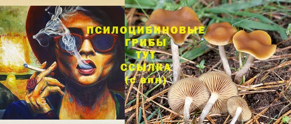 ALPHA-PVP Алексин