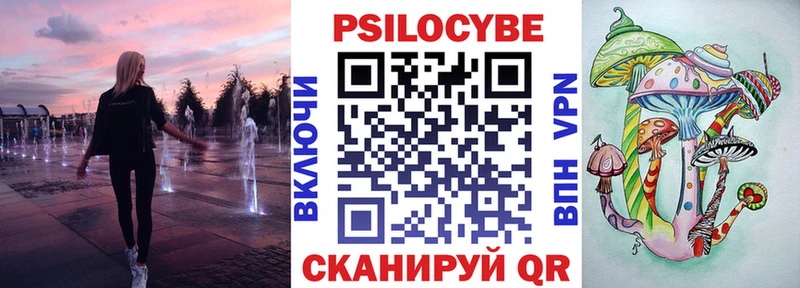 Псилоцибиновые грибы Psilocybine cubensis  Нытва 